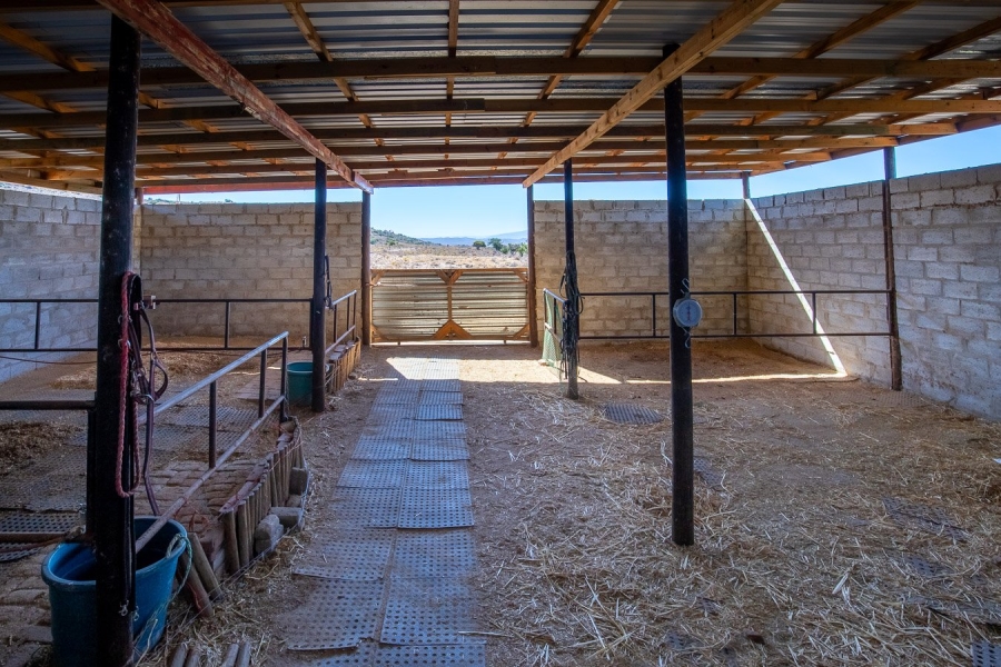 Commercial Property for Sale in Ladismith Rural Western Cape